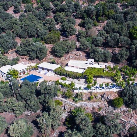 Villa Talos Palaiochora Exterior foto